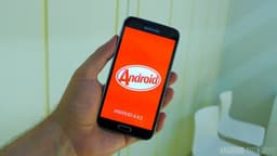 Рыночная доля ОС Android 4.4 KitKat увеличилась до 8.5%
