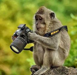За квартал Nikon удалось продать более миллиона камер со сменными объективами и почти полтора миллиона объективов к ним