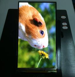 Китайская компания Tianma показала прототип панели AMOLED плотностью 400 пикселей на дюйм, созданный по собственной технологии