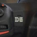 Фото дня: первые изображения камеры Nikon D5