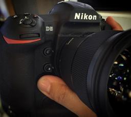 Фото дня: первые изображения камеры Nikon D5
