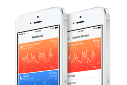 Клиники США начинают испытывать платформу Apple HealthKit