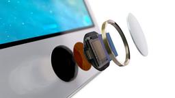 Дактилоскопический датчик Touch ID следующего смартфона Apple iPhone тоже будет встроен в кнопку Home, а не в экран