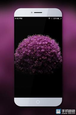 На изображениях смартфона Meizu MX5 видно отсутствие боковых рамок экрана