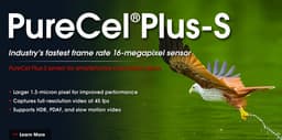 OmniVision представила технологии PureCel Plus и PureCel Plus-S, призванные улучшить датчики изображения