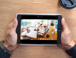 Logitech научила домашнюю камеру наблюдения Circle Home Security Camera отличать животных от людей