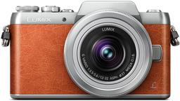 Беззеркальная камера Panasonic Lumix DMC-GF8 адресована любителям автопортретов