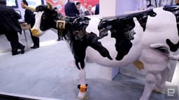 Fujitsu привезла на MWC 2016 корову и коровий шагомер Estrus Detection System for Cattle
