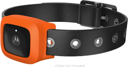 Motorola представила устройства Verve Retrieve, Verve Cam, Verve Loop+, Verve Rider+ и Verve Ones+