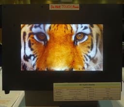 У SEL готов дисплей OLED размером 13,3 дюйма и разрешением 8К с частотой обновления 120 Гц и 12-разрядным представлением цвета