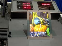Специалисты SEL объединили в одном дисплее технологии жидких кристаллов и OLED