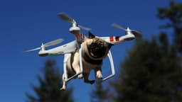 FAA создаёт консультативный комитет во главе с директором Intel для разработки норм коммерческого использования дронов