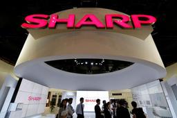 Sharp рассчитывает впервые за последние три года завершить год с прибылью