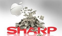 Apple обсуждает с Sharp возможность поставки панелей OLED для iPhone 8