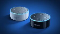 Будущие устройства Amazon Echo могут обзавестись функцией телефонной связи