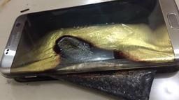 Samsung удалённо ограничит возможности зарядки смартфонов Galaxy Note7, что должно решить проблему с возгораниями