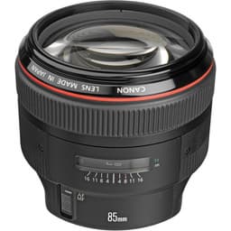 Canon планирует выпуск четырех моделей объективов