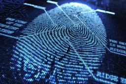 Synaptics начала массовое производство сканеров отпечатков пальцев, предназначенных для расположения под поверхностью экрана смартфонов