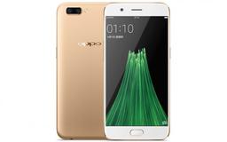 По данным Sigmaintell, поставки смартфонов с дисплеями OLED в Китае сократились