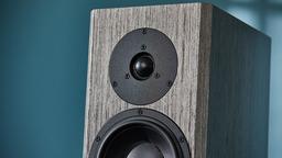 Dynaudio Special Forty: юбилейная акустическая система датской компании