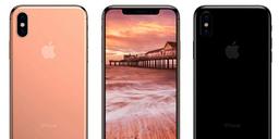 Исходный код iOS 11 подтверждает наличие 3 ГБ ОЗУ у iPhone X и iPhone 8 Plus