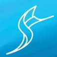 На перевод чиновников и сотрудников госкомпаний на смартфоны с российской ОС понадобится 160 млрд рублей