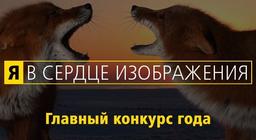 Стартовал ежегодный фотоконкурс Nikon «Я в сердце изображения»