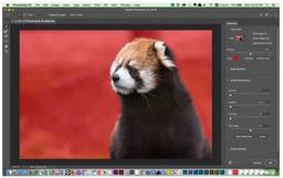 В новой версии ПО Photoshop появился инструмент выделения Select Subject, в основе которого лежат технологии искусственного интеллекта