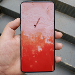 Фото дня: смартфон Samsung Galaxy S10