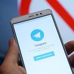 У Telegram есть 15 суток для выдачи ключей шифрования ФСБ, иначе Роскомнадзор подаст заявление на блокировку мессенджера