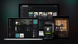 Выход Spotify на IPO позволил узнать, что компания является глубоко убыточной