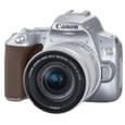 С претензией на рекорд. Canon представила бюджетную зеркальную камеру EOS 250D