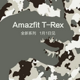 Производитель Xiaomi Mi Band и Amazfit анонсировал гаджет T-Rex из новой категории устройств