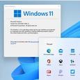 Вся ОС Windows 11 стала доступна в сети задолго до анонса. Официальные обои уже можно скачать и установить, например, на MacBook