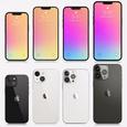 Цены и объёмы памяти всех версий Apple iPhone 13