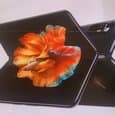 Xiaomi Mi Mix Fold показали во всей красе за несколько часов до анонса