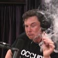 Основатель Tesla и SpaceX решил построить целый город