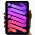 В России открыт предзаказ на новый iPad и сильно изменившийся iPad mini