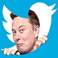Bloomberg: Twitter подаст в суд на Илона Маска за то, что тот не хочет покупать социальную сеть