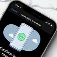 Несправедливость устранена: в WhatsApp наконец-то разрешили переносить данные со смартфона Android на iPhone