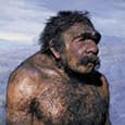 Нобелевскую премию в области физиологии и медицины 2022 года присудили шведскому биологу Сванте Пэбу за его открытия в области генома вымерших гоминидов и эволюции человека