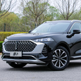 На ступень выше Haval. В России появятся два новых автомобильных бренда — Ora и Wey
