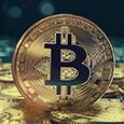 Новая реальность: 101 000 долларов за один Bitcoin