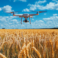 DJI подала в суд на Пентагон, утверждая, что она не принадлежит китайским военным и не управляется ими