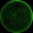 OpenAI и Retro Bio создали ИИ для белковой инженерии: новые белки ускоряют перепрограммирование клеток