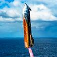 SpaceX шла к этому с начала 2025 года: компания показала захватывающие кадры приводнения Starship — погрешность составила всего 3 метра