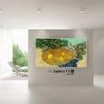 Представлен телевизор LG Gallery TV