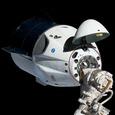 Илон Маск остыл после грандиозного скандала с Трампом и решил не выводить Dragon из эксплуатации, но тесты Starship приостановили