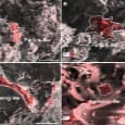 В образцах лунных миссий «Чанъэ-5» и «Чанъэ-6» нашли сложную азотсодержащую органику и проследили её эволюцию