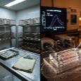 FDA впервые допустило «органы на чипе» к тестированию лекарств: технология обещает заменить животных предсказанием опасных реакций на человеческих клетках